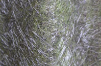 Northop fibreglass roof work